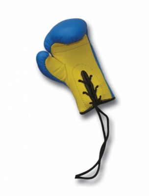 BOXING ACCESSORIES